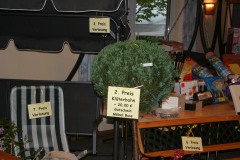 FC-2011-1.-Tag-Mixed-18